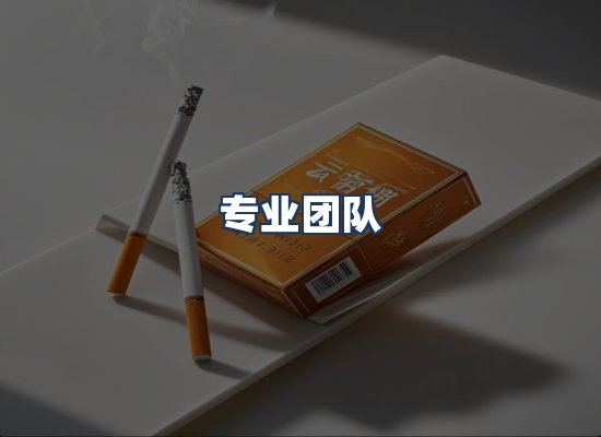 专业团队